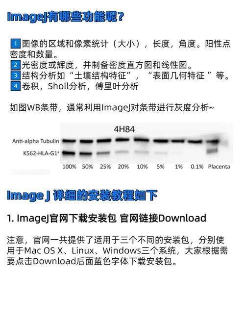 ImageReady下载：高效图像处理工具，快速编辑与优化图片