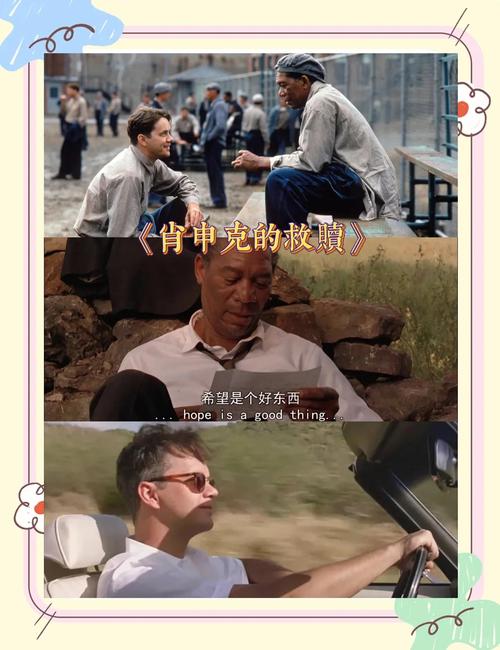 高清好看的电影下载推荐-精选热门影片资源