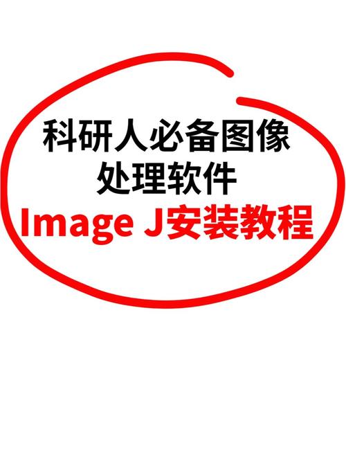 ImageReady下载：高效图像处理工具，快速编辑与优化图片