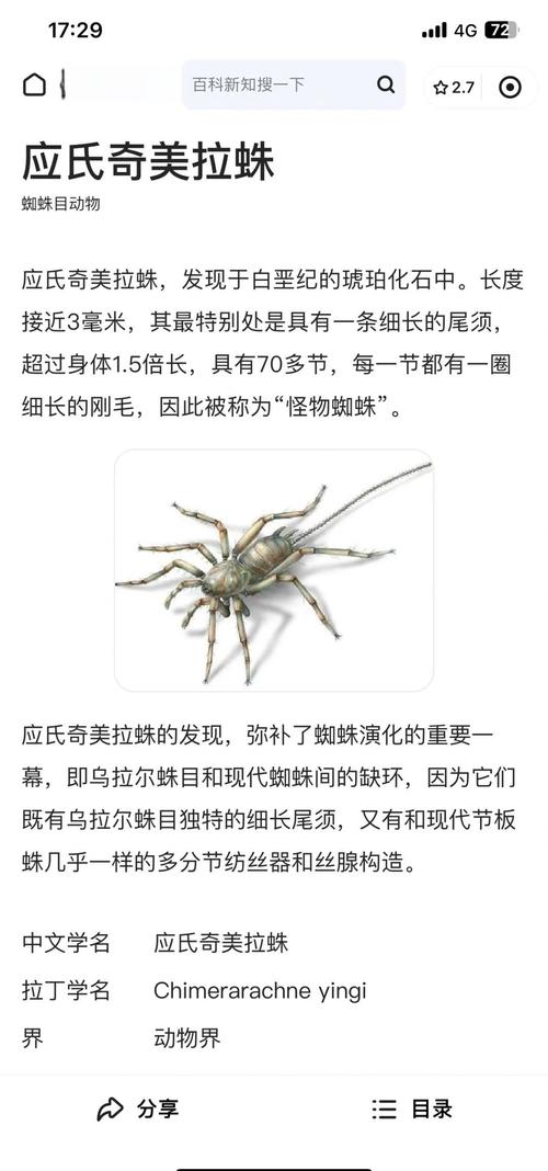 租蜘蛛池乱象调查：灰色产业背后的流量操控与法律风险