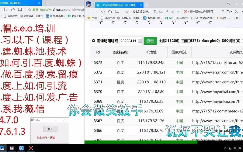 蜘蛛池+快排双引擎发力，新闻排名飙升背后的技术逻辑