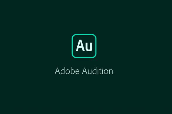Adobe Flash Player 官方下载安装教程及安全版本获取指南