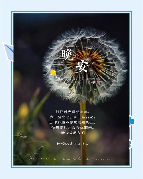 晚上必看的正能量视频下载，治愈心灵提升自我