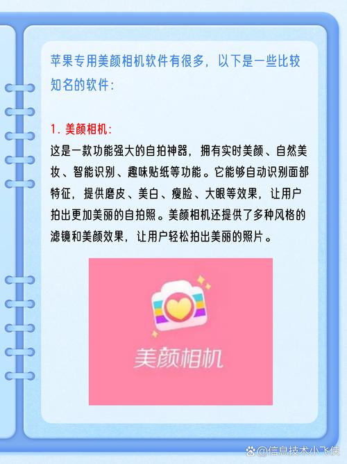 美颜相机iPad版下载 - 轻松拍出自然美颜大片