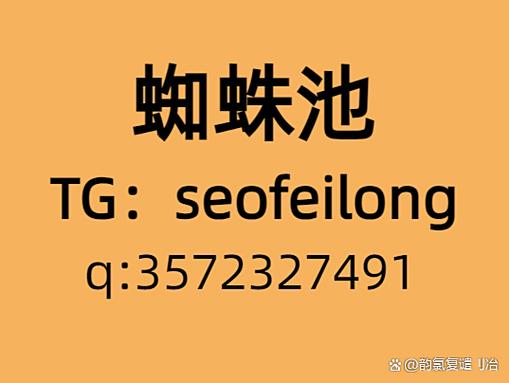 蜘蛛池租用服务乱象调查：SEO黑产背后的流量陷阱与法律风险