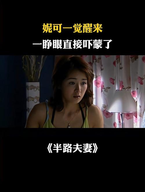 半路夫妻全集高清下载 | 经典家庭剧在线观看资源
