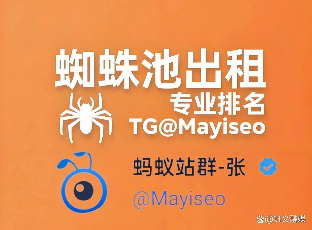 蜘蛛池真能提高网站权重吗？揭秘背后不为人知的SEO风险与真相