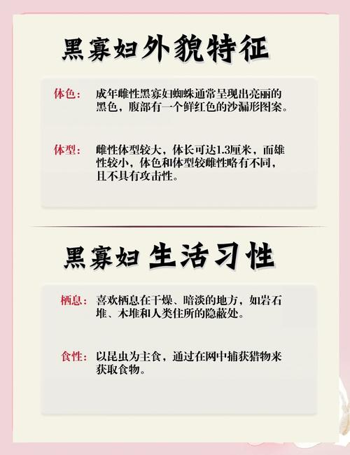 蜘蛛池的双刃剑：流量红利与搜索引擎惩罚风险并存
