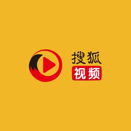 搜狐下载正版官方软件免费安全快速安装