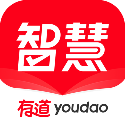 有道下载 - 官方正版翻译与词典工具