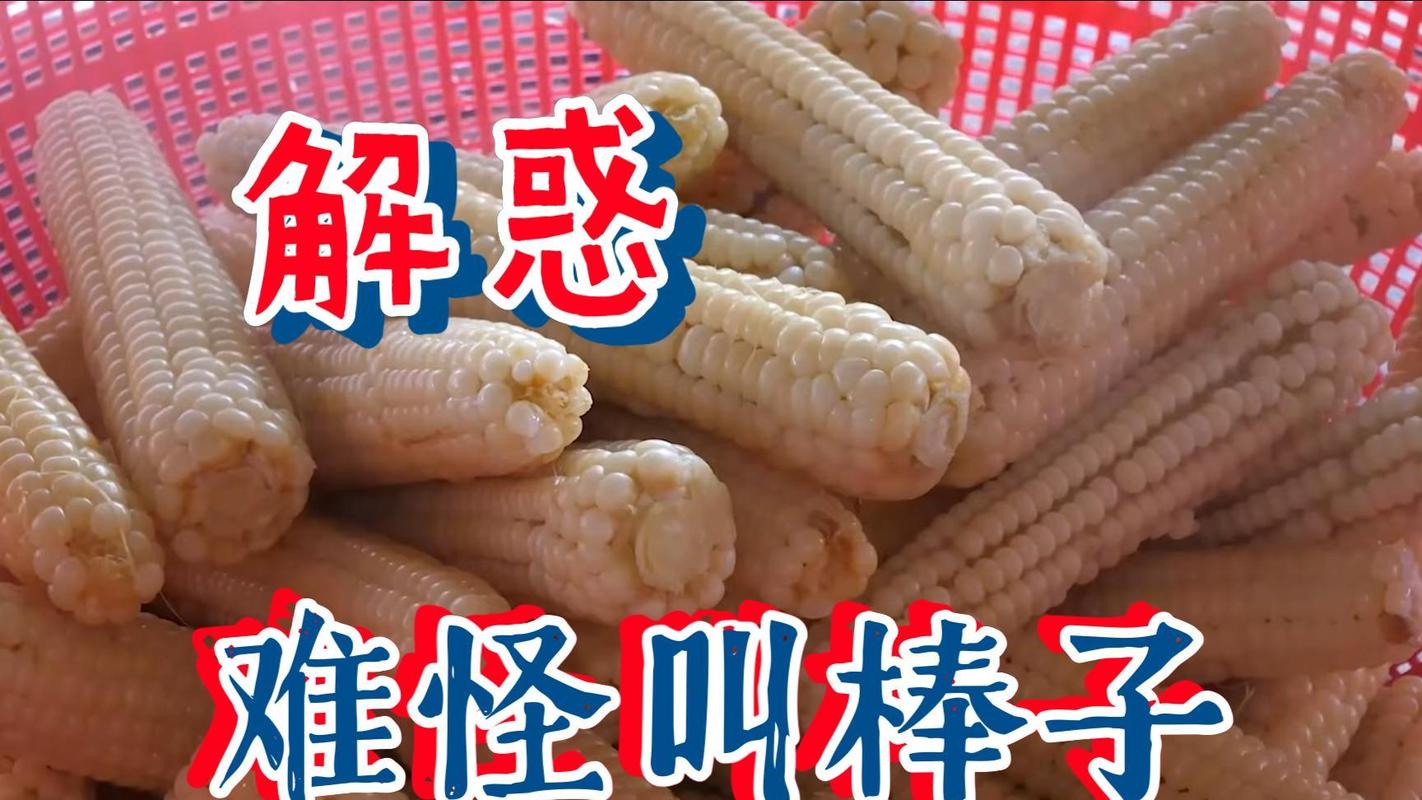 韩国“棒子”称谓源于清军炊事典故?历史争议再引热议