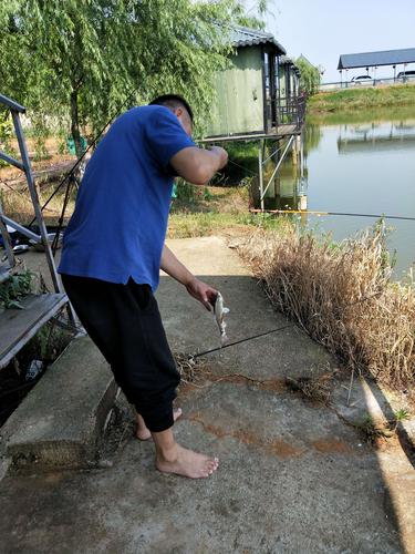 老铁蜘蛛池:揭秘高效引蜘蛛背后的技术逻辑与行业争议