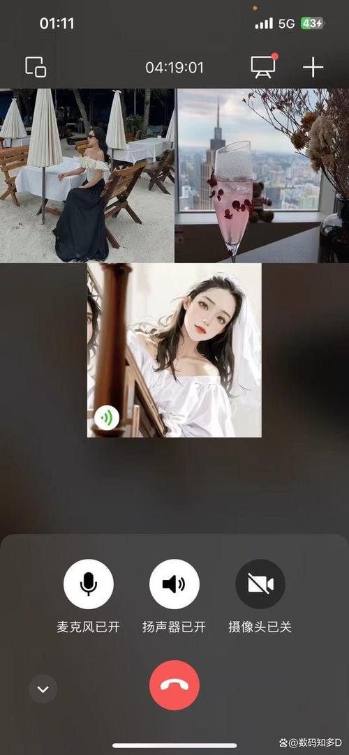 海贼王迅雷下载的相关介绍