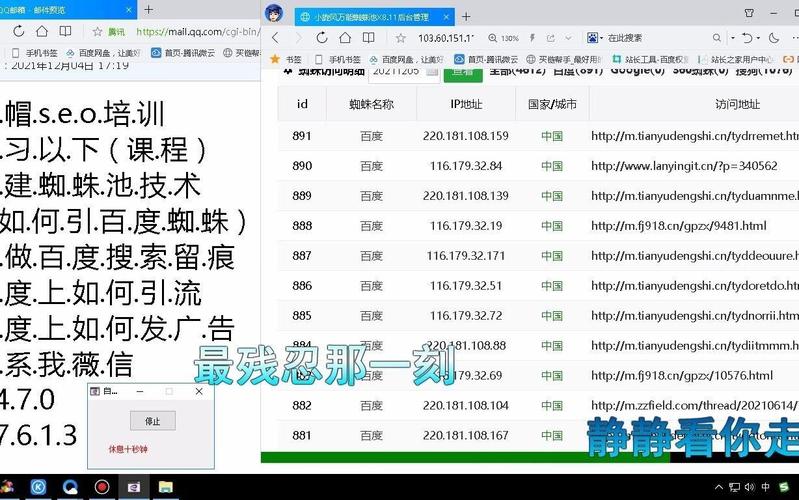 蜘蛛池黑幕揭秘：原理与作用全解析