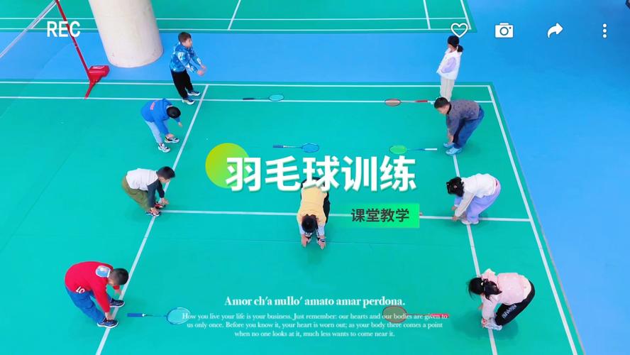 羽毛球教学视频下载 | 零基础到高手进阶教程