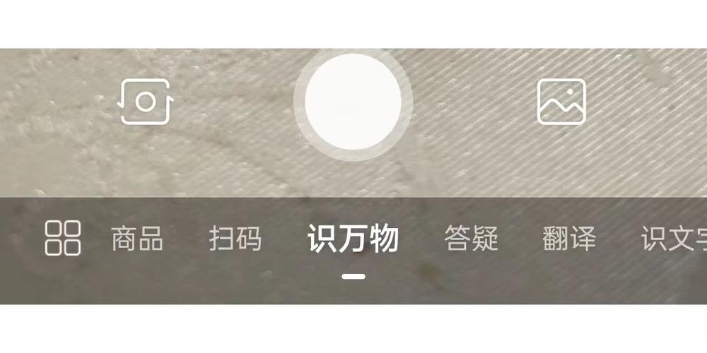 忍者神龟3下载的相关介绍