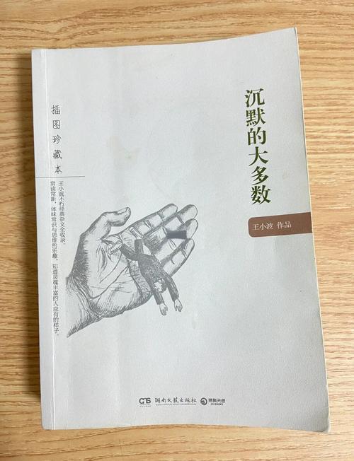 沉默的大多数txt下载 | 王小波经典杂文集