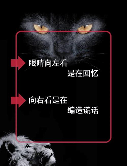 读心术APP下载 - 揭秘心理测试与读心技巧的趣味应用