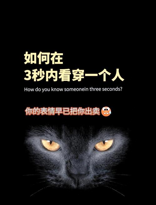 读心术APP下载 - 揭秘心理测试与读心技巧的趣味应用