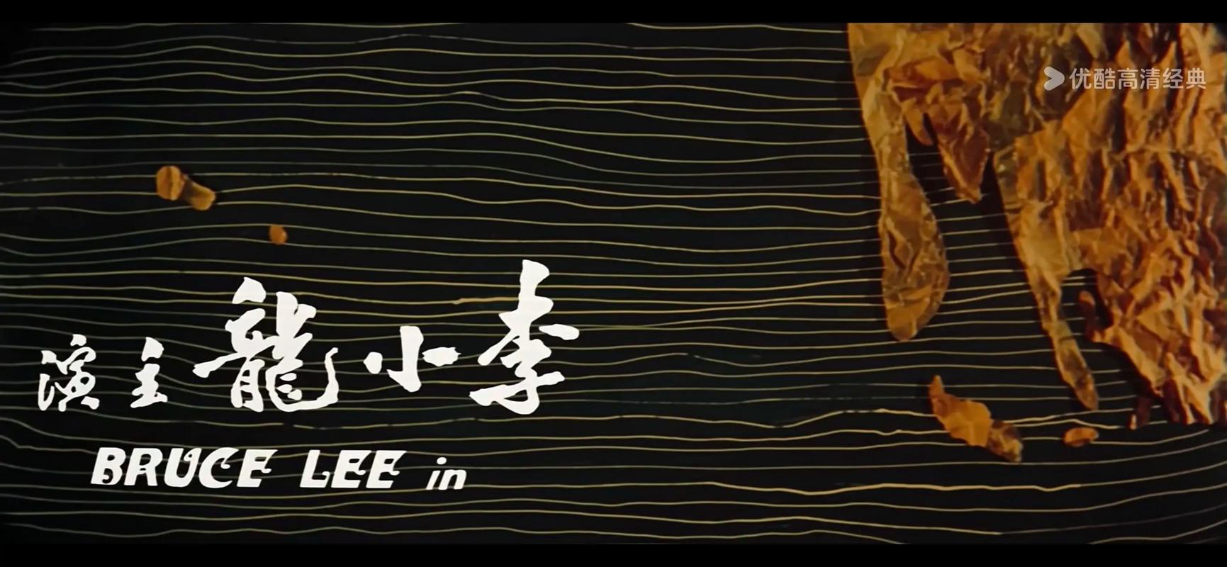 猛龙过江高清下载 | 经典动作电影在线观看