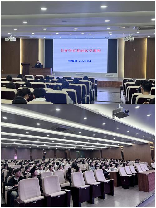 讲座下载网 - 海量优质讲座资源免费下载