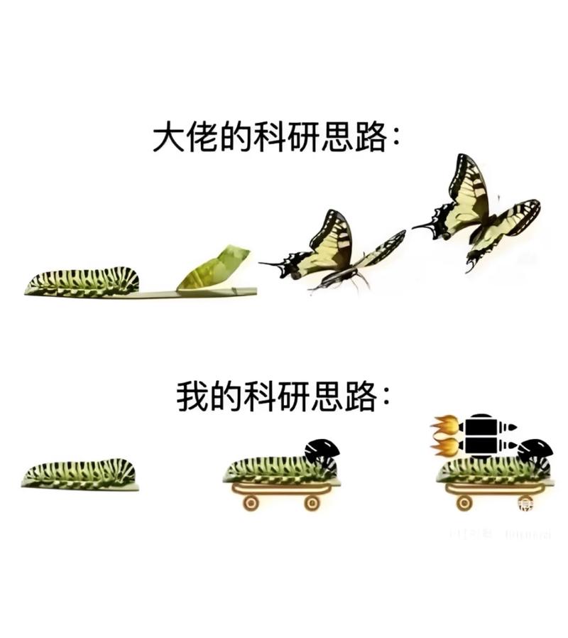 博士放弃科研梦:当热爱遭遇现实重压