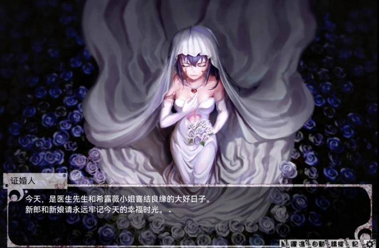 奴隶少女希尔薇下载 | 安卓IOS最新版游戏资源