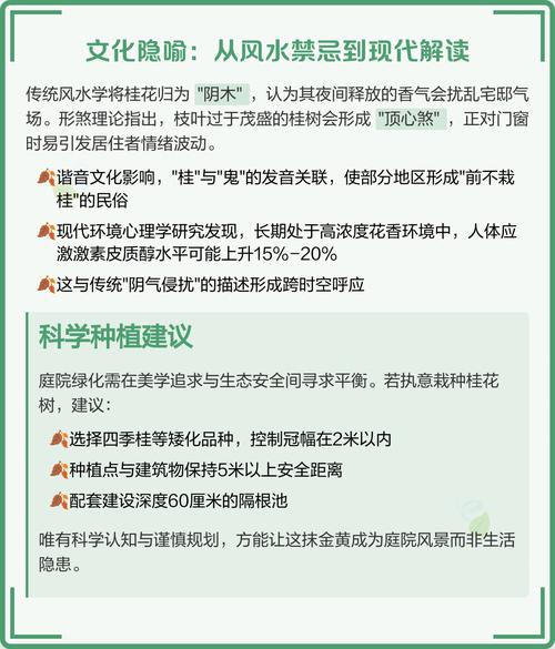惊!家中栽种桂花树竟藏大隐患,专家紧急提醒速看