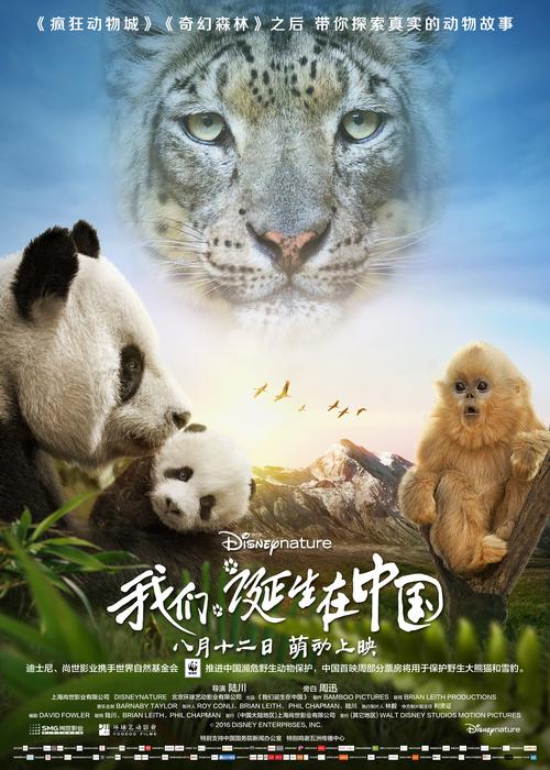 火山小视频下载安装最新版，畅享短视频新体验