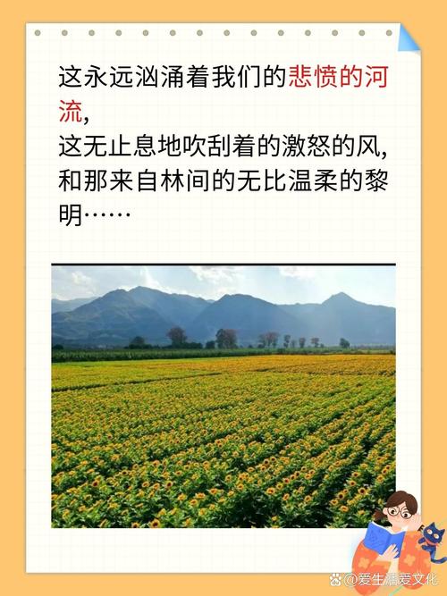 “为什么我的眼里常含泪水”引发全网共鸣，网友：因为爱得深沉