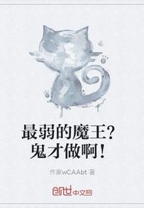 无良皇帝txt全集下载 | 经典穿越小说全文阅读