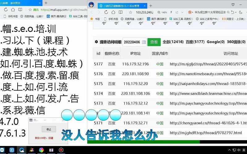 SEO站群蜘蛛池优化:高效提升搜索引擎收录与排名的实战策略