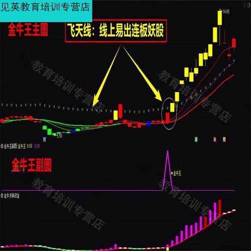 赢在龙头决策版下载-官方正版免费获取