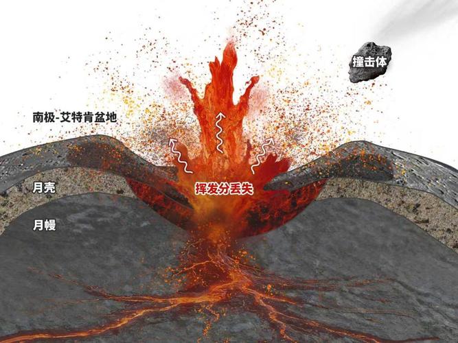 “寄生虫蜘蛛池搭建方法”暗藏风险:揭秘黑帽SEO背后的流量劫持链条