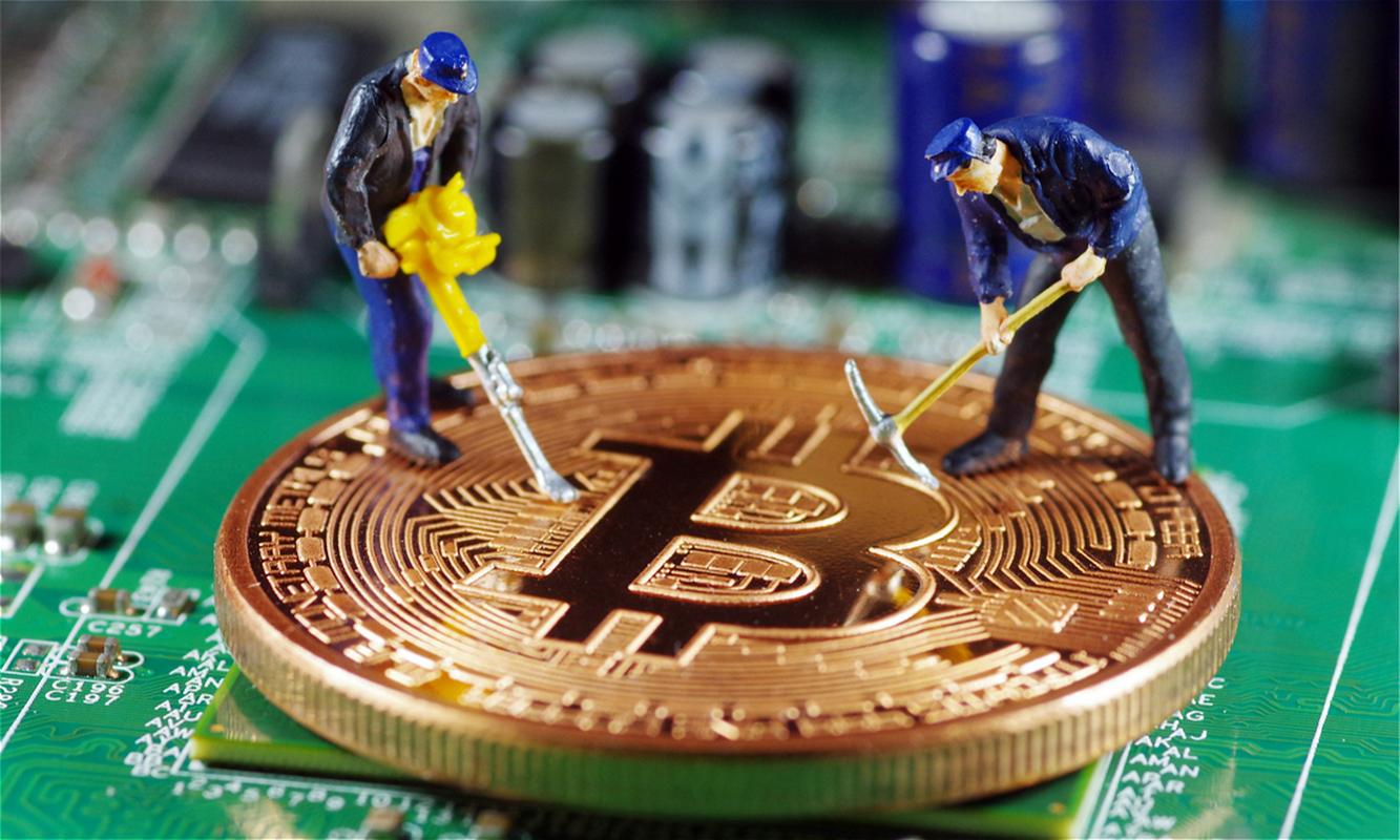 蜘蛛池域名注册乱象调查：批量注册背后的灰色产业链