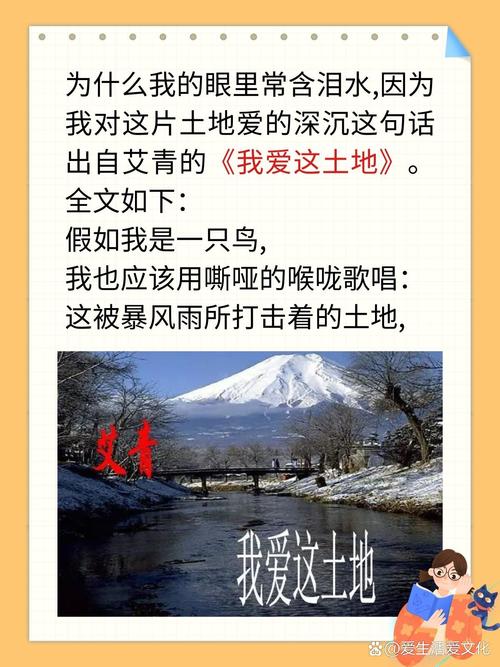 “为什么我的眼里常含泪水”引发全网共鸣，网友：因为爱得深沉