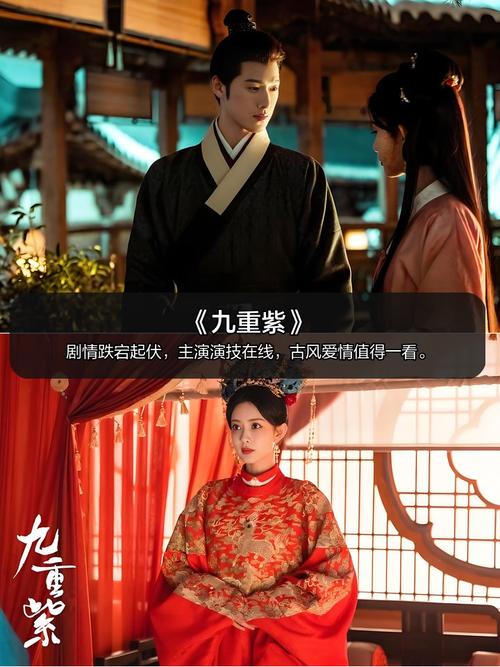 手机电视剧免费下载大全,高清全集在线观看