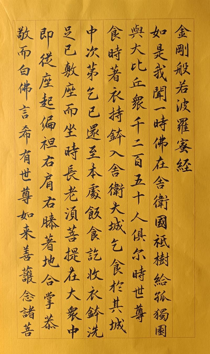 空白简历表格下载 - 免费Word/PDF模板