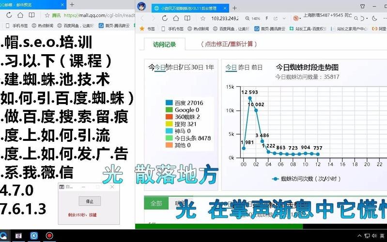 蜘蛛池采集关键字:揭秘黑帽SEO背后的流量操纵术