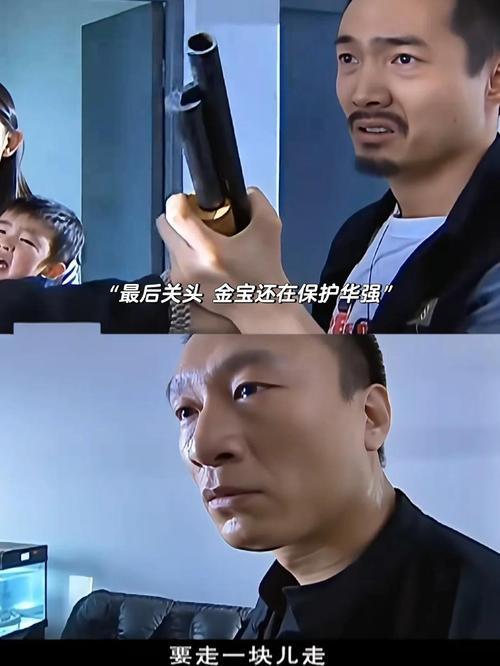《征服》电视剧全集高清下载,刘华强经典警匪剧在线观看