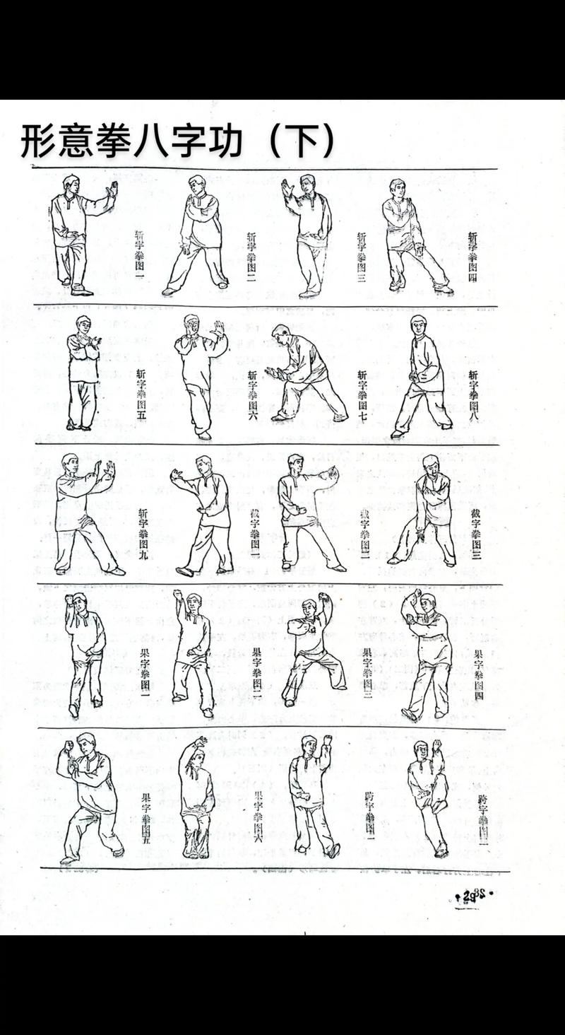 形意拳下载 | 经典武术教学视频资源合集