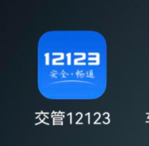 12123官方版下载 - 交管12123最新版安装指南