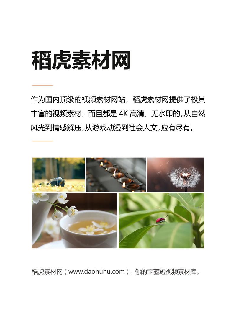 高清视频文件高速下载,一键保存随时观看