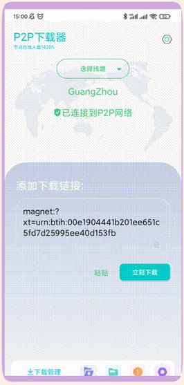 P2P下载技巧:高速安全资源获取全攻略