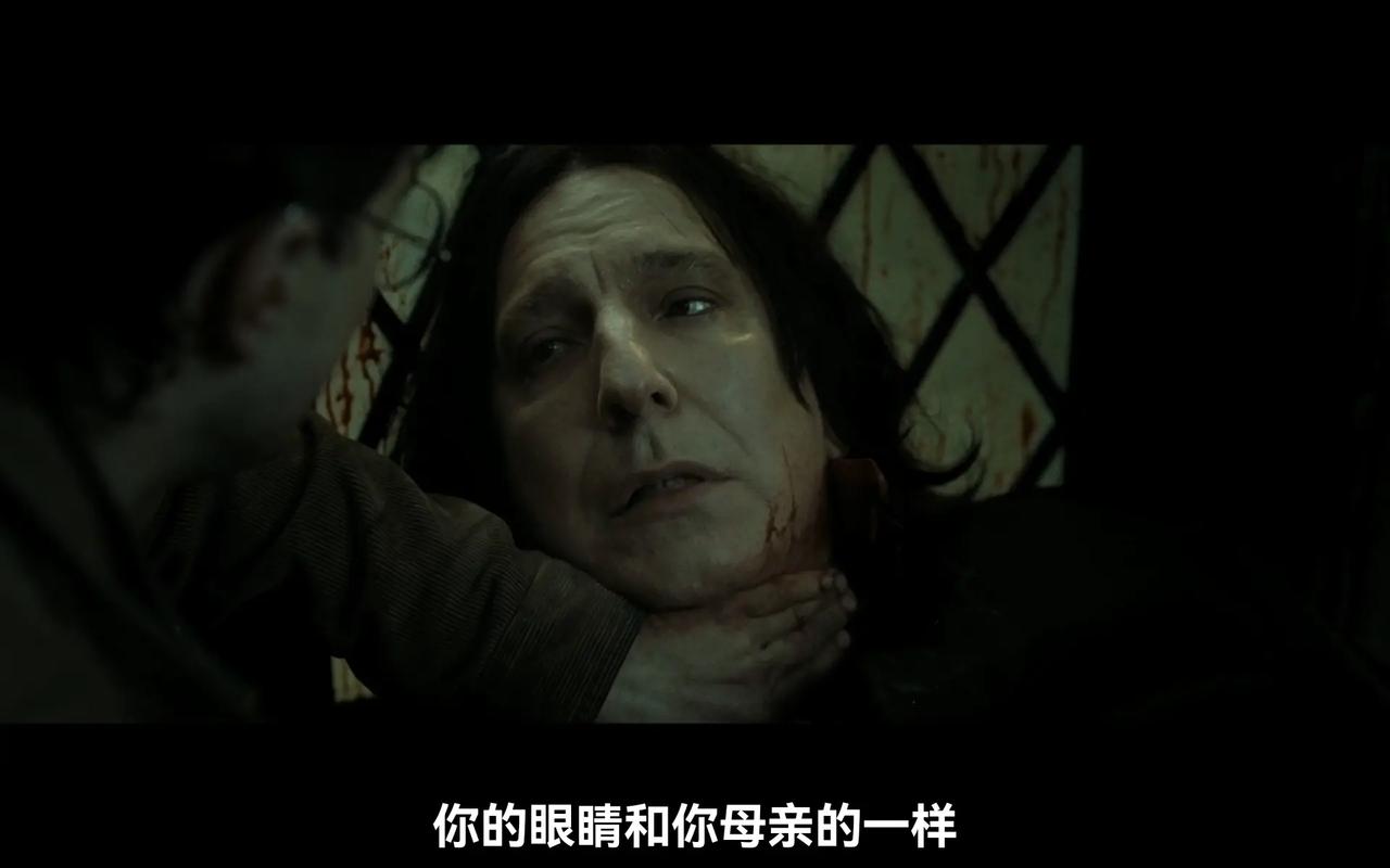 哈利波特与死亡圣器高清下载 | 魔法终章