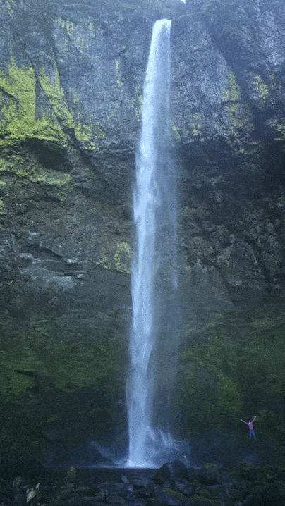 极速动态图下载，一秒保存高清GIF