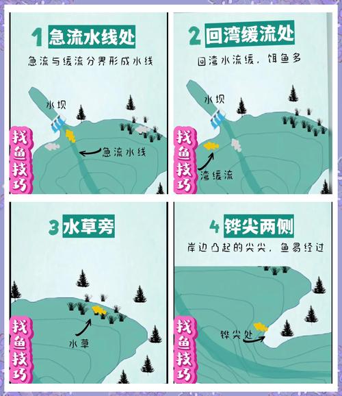蜘蛛池在哪里找鱼?揭秘黑产流量操控背后的“鱼塘”陷阱