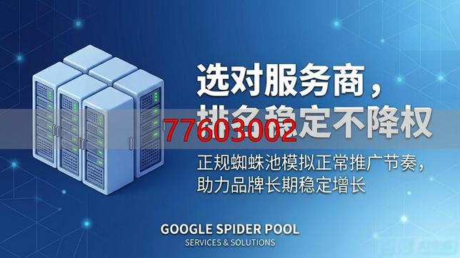 用蜘蛛池会降权吗?SEO专家深度解析搜索引擎惩罚机制与风险规避