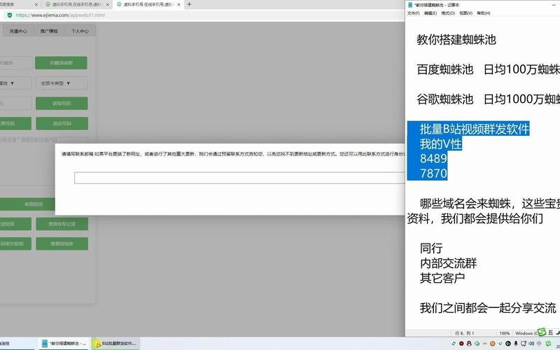 菜鸟蜘蛛池软件模板：高效自动化养蜘蛛，助力网站快速收录排名