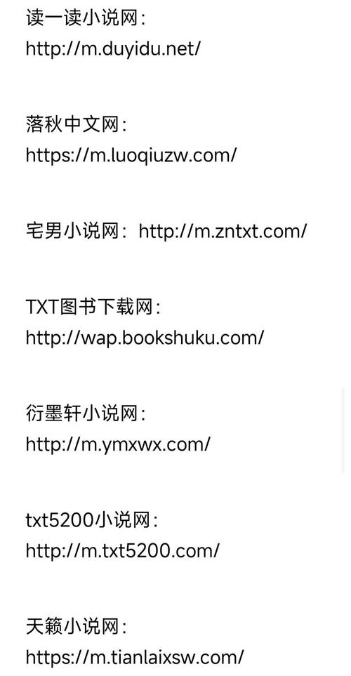 小说下载网txt海量免费全本小说资源,一键下载TXT电子书